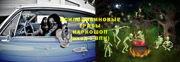 прущие крисы Инсар