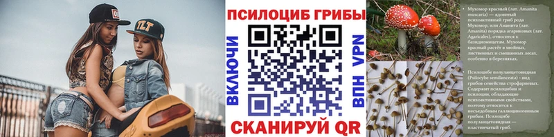 Купить где  Кохма  Галлюциногенные грибы ЛСД 