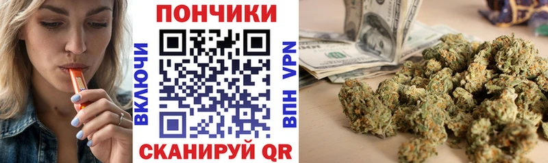 Купить закладки  Кохма  Каннабис конопля 